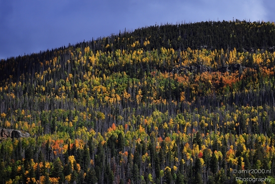 Crossing_Rio_Grande_National_Forest_on_the_way_Colorado_USA_Western_USA_Nature_Photography_Canon_EOS_R5_Mark_II_2025_081.JPG