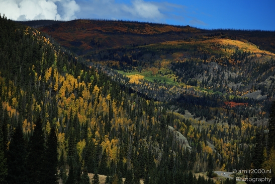 Crossing_Rio_Grande_National_Forest_on_the_way_Colorado_USA_Western_USA_Nature_Photography_Canon_EOS_R5_Mark_II_2025_082.JPG