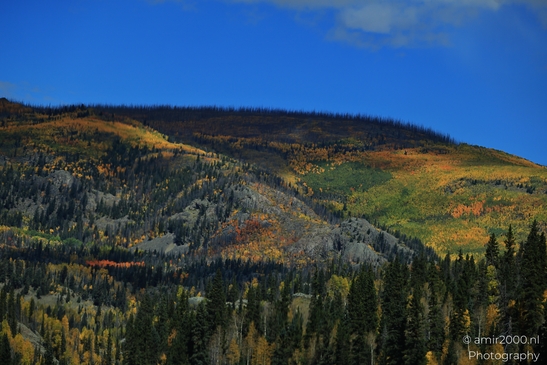 Crossing_Rio_Grande_National_Forest_on_the_way_Colorado_USA_Western_USA_Nature_Photography_Canon_EOS_R5_Mark_II_2025_083.JPG