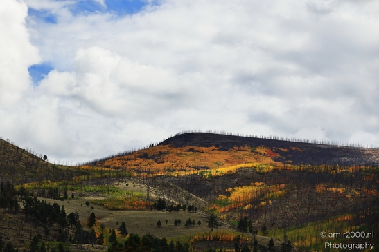 Crossing_Rio_Grande_National_Forest_on_the_way_Colorado_USA_Western_USA_Nature_Photography_Canon_EOS_R5_Mark_II_2025_086.JPG