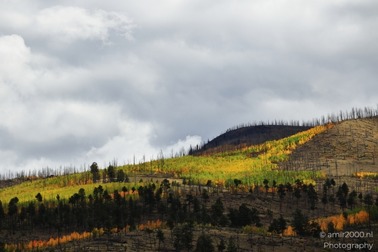 Crossing_Rio_Grande_National_Forest_on_the_way_Colorado_USA_Western_USA_Nature_Photography_Canon_EOS_R5_Mark_II_2025_087.JPG