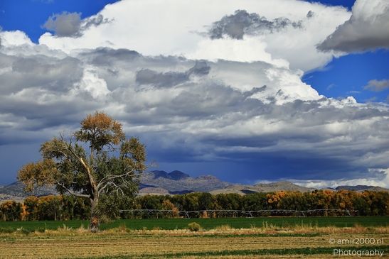 Crossing_Rio_Grande_National_Forest_on_the_way_Colorado_USA_Western_USA_Nature_Photography_Canon_EOS_R5_Mark_II_2025_093.JPG