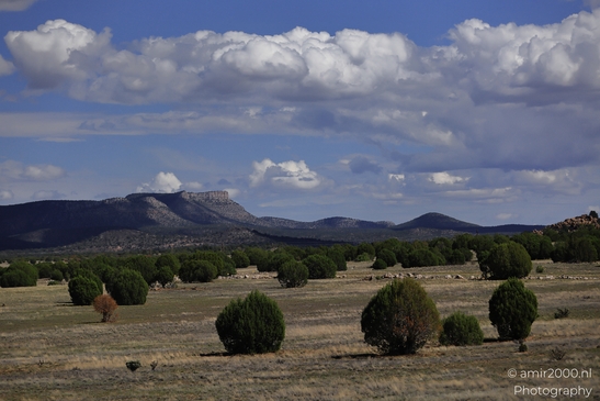 Desert_Landscape_Arizona_Nature_Landscape_Western_USA_Western_Usa_Nature_Photography_Canon_EOS_R5_Mark_II_2025_057.JPG