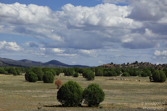 Desert_Landscape_Arizona_Nature_Landscape_Western_USA_Western_Usa_Nature_Photography_Canon_EOS_R5_Mark_II_2025_058.JPG