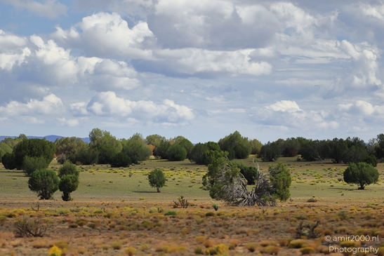 Desert_Landscape_Arizona_Nature_Landscape_Western_USA_Western_Usa_Nature_Photography_Canon_EOS_R5_Mark_II_2025_059.JPG