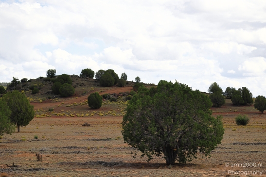 Desert_Landscape_Arizona_Nature_Landscape_Western_USA_Western_Usa_Nature_Photography_Canon_EOS_R5_Mark_II_2025_060.JPG