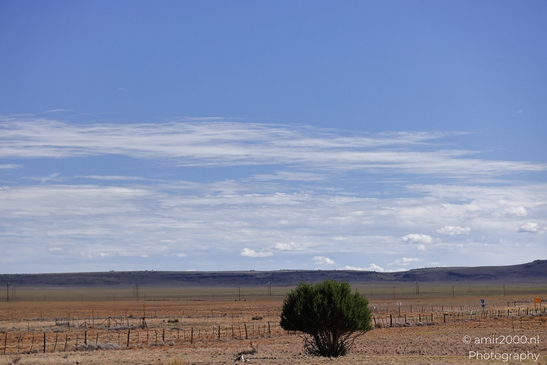 Desert_Landscape_Arizona_Nature_Landscape_Western_USA_Western_Usa_Nature_Photography_Canon_EOS_R5_Mark_II_2025_066.JPG