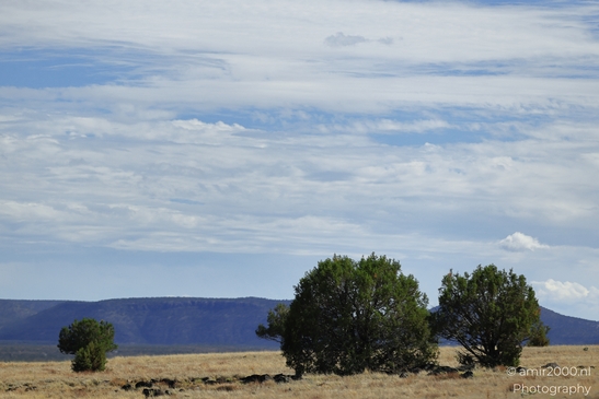 Desert_Landscape_Arizona_Nature_Landscape_Western_USA_Western_Usa_Nature_Photography_Canon_EOS_R5_Mark_II_2025_072.JPG