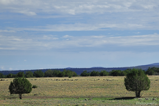Desert_Landscape_Arizona_Nature_Landscape_Western_USA_Western_Usa_Nature_Photography_Canon_EOS_R5_Mark_II_2025_076.JPG