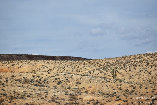 Desert_Landscape_On_The_Way_Nevada_USA_Western_USA_Nature_Photography_Canon_EOS_R5_Mark_II_2025_005.JPG