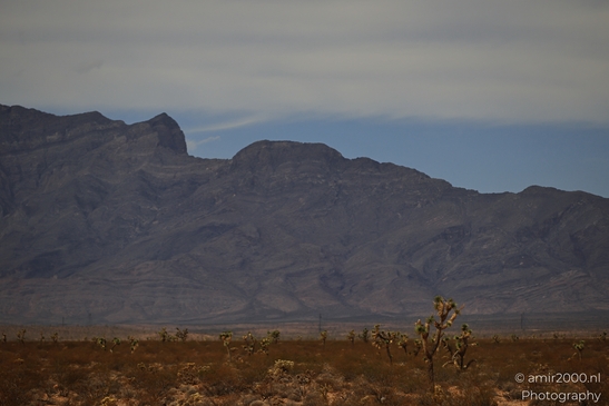 Desert_Landscape_On_The_Way_Nevada_USA_Western_USA_Nature_Photography_Canon_EOS_R5_Mark_II_2025_007.JPG