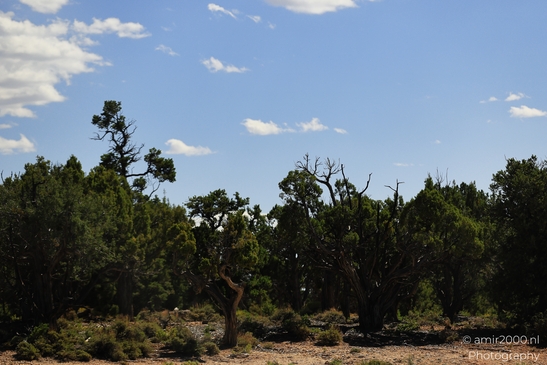 Desert_Mountain_Landscape_Arizona_USA_Western_Usa_Nature_Photography_Canon_EOS_R5_Mark_II_2025_014.JPG