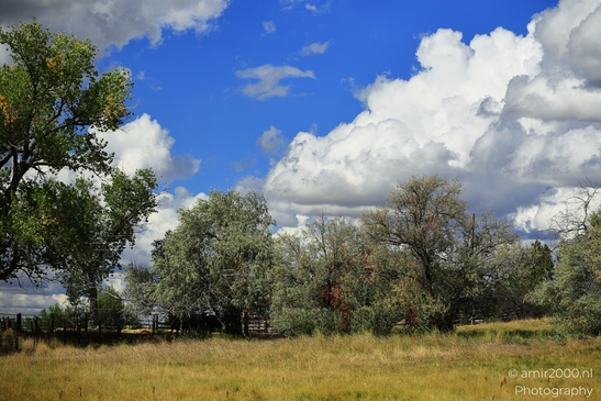 Desert_landscape_with_mountains_and_yellow_trees_Cortez_Colorado_USA_Western_USA_Nature_Photography_Canon_EOS_R5_Mark_II_2025_002.JPG