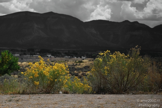 Desert_landscape_with_mountains_and_yellow_trees_Cortez_Colorado_USA_Western_USA_Nature_Photography_Canon_EOS_R5_Mark_II_2025_003.JPG