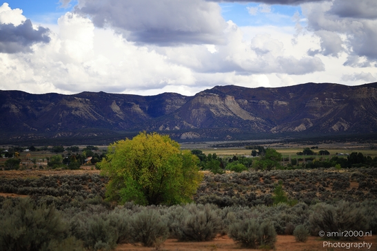 Desert_landscape_with_mountains_and_yellow_trees_Cortez_Colorado_USA_Western_USA_Nature_Photography_Canon_EOS_R5_Mark_II_2025_004.JPG