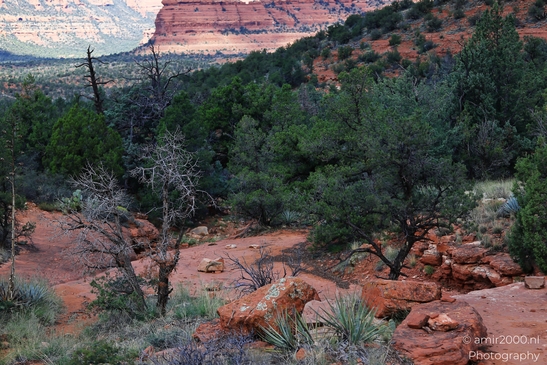 Devils_Bridge_Trailhead_Sedona_Arizona_USA_Western_USA_Nature_Photography_Canon_EOS_R5_Mark_II_2025_010.JPG