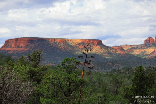 Devils_Bridge_Trailhead_Sedona_Arizona_USA_Western_USA_Nature_Photography_Canon_EOS_R5_Mark_II_2025_013.JPG