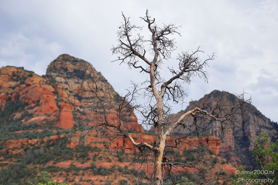 Devils_Bridge_Trailhead_Sedona_Arizona_USA_Western_USA_Nature_Photography_Canon_EOS_R5_Mark_II_2025_018.JPG