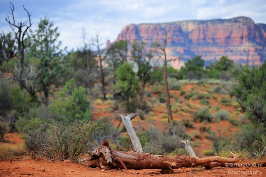 Devils_Bridge_Trailhead_Sedona_Arizona_USA_Western_USA_Nature_Photography_Canon_EOS_R5_Mark_II_2025_019.JPG