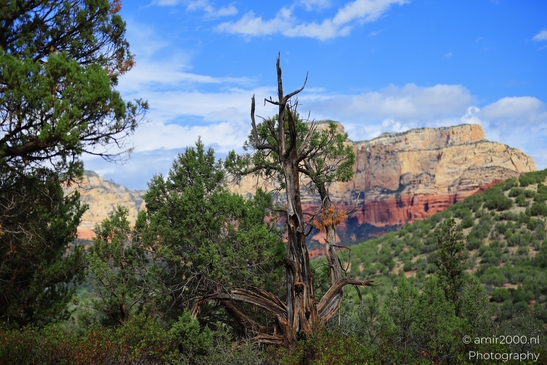 Devils_Bridge_Trailhead_Sedona_Arizona_USA_Western_USA_Nature_Photography_Canon_EOS_R5_Mark_II_2025_024.JPG
