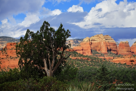 Devils_Bridge_Trailhead_Sedona_Arizona_USA_Western_USA_Nature_Photography_Canon_EOS_R5_Mark_II_2025_025.JPG