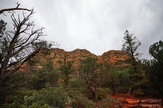 Devils_Bridge_Trailhead_Sedona_Arizona_USA_Western_USA_Nature_Photography_Canon_EOS_R5_Mark_II_2025_050.JPG
