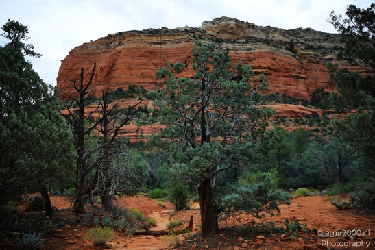 Devils_Bridge_Trailhead_Sedona_Arizona_USA_Western_USA_Nature_Photography_Canon_EOS_R5_Mark_II_2025_052.JPG