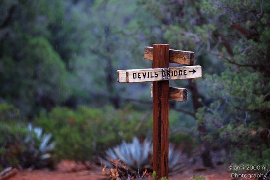 Devils_Bridge_Trailhead_Sedona_Arizona_USA_Western_USA_Nature_Photography_Canon_EOS_R5_Mark_II_2025_056.JPG
