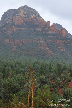 Devils_Bridge_Trailhead_Sedona_Arizona_USA_Western_USA_Nature_Photography_Canon_EOS_R5_Mark_II_2025_062.JPG
