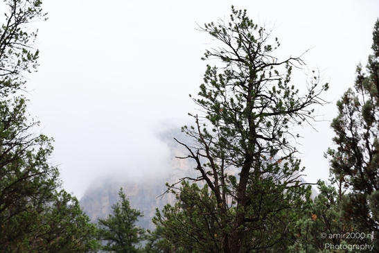 Devils_Bridge_Trailhead_Sedona_Arizona_USA_Western_USA_Nature_Photography_Canon_EOS_R5_Mark_II_2025_066.JPG