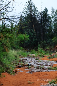 Devils_Bridge_Trailhead_Sedona_Arizona_USA_Western_USA_Nature_Photography_Canon_EOS_R5_Mark_II_2025_068.JPG