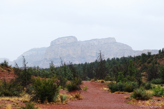 Devils_Bridge_Trailhead_Sedona_Arizona_USA_Western_USA_Nature_Photography_Canon_EOS_R5_Mark_II_2025_069.JPG