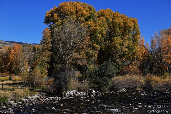 Eagle_River_In_Eagle_River_Nature_Preserve_Colorado_USA_Western_USA_Nature_Photography_Canon_EOS_R5_Mark_II_2025_001.JPG