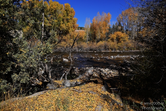 Eagle_River_In_Eagle_River_Nature_Preserve_Colorado_USA_Western_USA_Nature_Photography_Canon_EOS_R5_Mark_II_2025_005.JPG