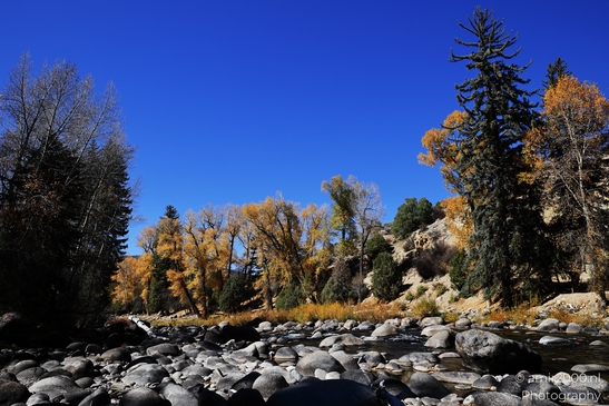 Eagle_River_In_Eagle_River_Nature_Preserve_Colorado_USA_Western_USA_Nature_Photography_Canon_EOS_R5_Mark_II_2025_009.JPG