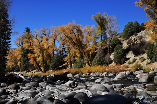 Eagle_River_In_Eagle_River_Nature_Preserve_Colorado_USA_Western_USA_Nature_Photography_Canon_EOS_R5_Mark_II_2025_010.JPG