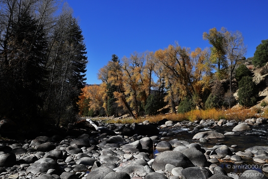Rocky riverbed surrounded by colorful fall leaves under a clear blue sky. image from year 2025 #11