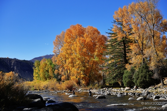 Rocky riverbed surrounded by colorful autumn trees under clear sky. image from year 2025 #14