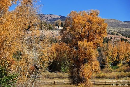 Eagle_River_Nature_Preserve_During_Autumn_Colorado_USA_Western_USA_Nature_Photography_Canon_EOS_R5_Mark_II_2025_001.JPG