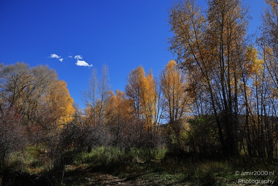 Eagle_River_Nature_Preserve_During_Autumn_Colorado_USA_Western_USA_Nature_Photography_Canon_EOS_R5_Mark_II_2025_003.JPG