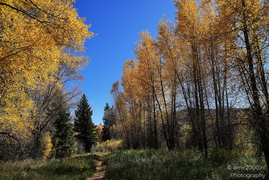 Eagle_River_Nature_Preserve_During_Autumn_Colorado_USA_Western_USA_Nature_Photography_Canon_EOS_R5_Mark_II_2025_004.JPG
