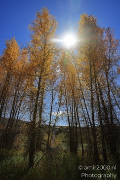 Eagle_River_Nature_Preserve_During_Autumn_Colorado_USA_Western_USA_Nature_Photography_Canon_EOS_R5_Mark_II_2025_005.JPG