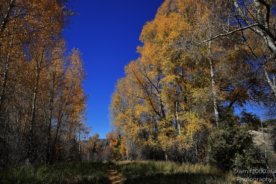Eagle_River_Nature_Preserve_During_Autumn_Colorado_USA_Western_USA_Nature_Photography_Canon_EOS_R5_Mark_II_2025_006.JPG