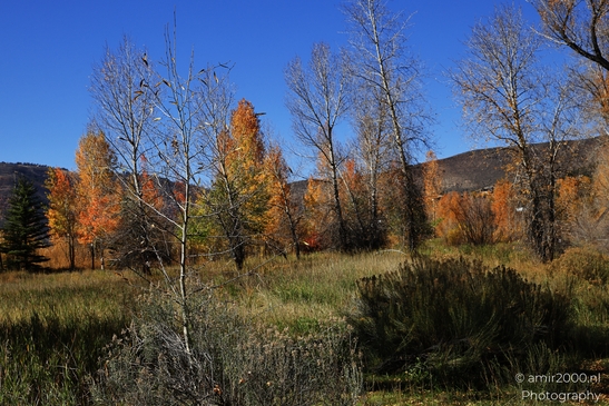 Eagle_River_Nature_Preserve_During_Autumn_Colorado_USA_Western_USA_Nature_Photography_Canon_EOS_R5_Mark_II_2025_007.JPG