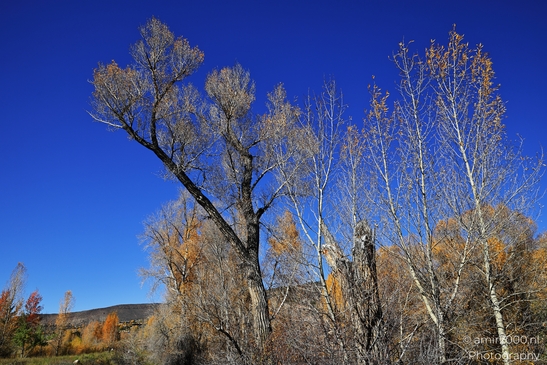 Eagle_River_Nature_Preserve_During_Autumn_Colorado_USA_Western_USA_Nature_Photography_Canon_EOS_R5_Mark_II_2025_008.JPG