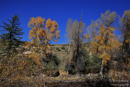 Waterline view of river scene showing ripple texture across the surface in Colorado USA. image from year 2025 #13