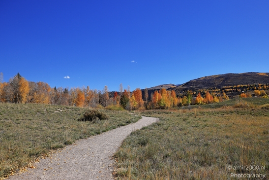 Shoreline view of river scene showing riverbank texture and water movement in Colorado USA. image from year 2025 #16
