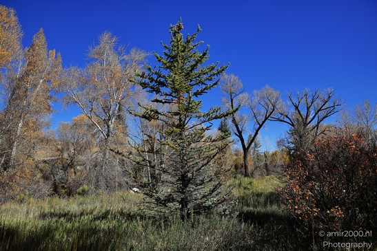 Shoreline view of river scene with mirrored sky across open water in Colorado USA. image from year 2025 #20