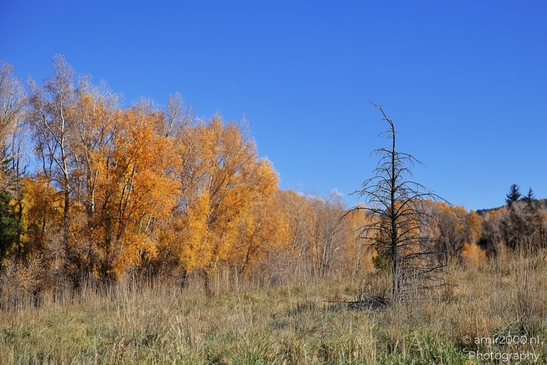 Reflected-water view of river scene showing riverbank texture and water movement in Colorado USA. image from year 2025 #21