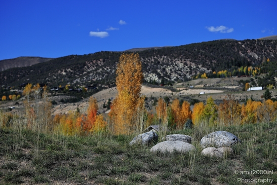 Vibrant fall colors on a tree contrast against rocky terrain beside the preserve. image from year 2025 #25